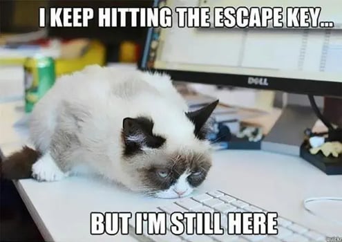 Grumpy cat hitting escape to get out of work meme