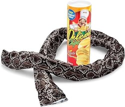 55 Funny gift ideas that will have you rolling on the floor 44 snake in a can funny gift idea