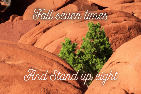 Fall seven times and stand up eight