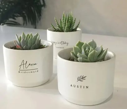 customized plant pots