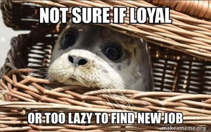 happy work anniversary meme seal not sure if loyal or too lazy to find new job