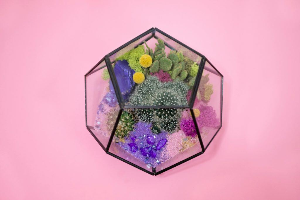terrarium, an example of a holiday gift for clients.