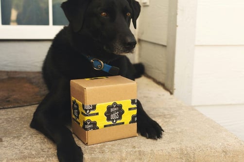 a moderately cute puppy with a subscription box