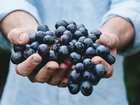 man holding up grapes