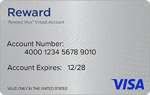 US_visa_gift_card_no_fee